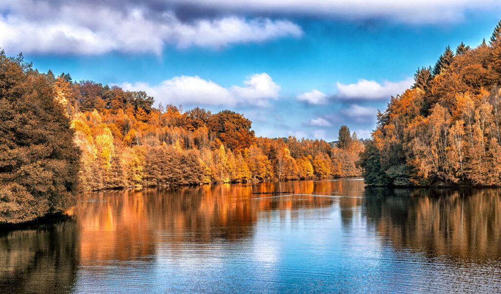 Does Your Practice Need an Indian Summer